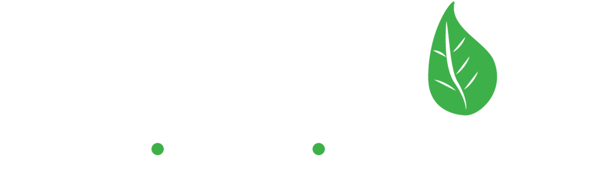 Living Word Church
